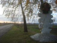 Миколаїв з panoramio.com