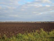 Веселий Кут з panoramio.com