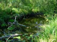 Кукулівка з panoramio.com