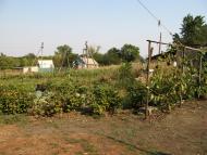 Новожеланне з panoramio.com