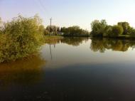 Мовники - Останні фото