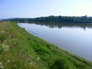 Вільховець з panoramio.com