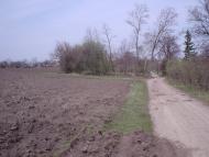 Шаліївка з panoramio.com