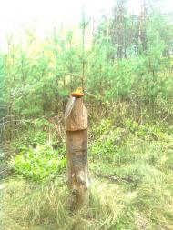 Булахівка з panoramio.com