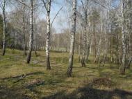 Грищинці з panoramio.com