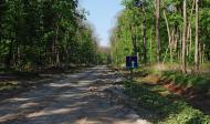 Молодова з panoramio.com