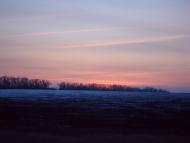 Zoryanske - Latest photos