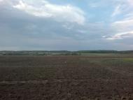 Манченки з panoramio.com