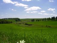 Красносілка з panoramio.com