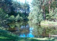 Костопіль з panoramio.com