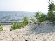 Боровиця з panoramio.com