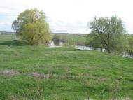 Біляки з panoramio.com