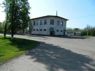 Шишкине з panoramio.com