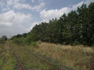 Мирне з panoramio.com