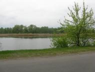 Соснівка з panoramio.com