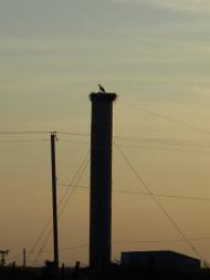 Більче з panoramio.com