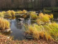 Понінка з panoramio.com