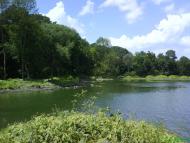 Яроповичі з panoramio.com