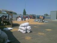 Сергеевка - Последние фото