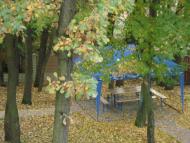 Стебник з panoramio.com