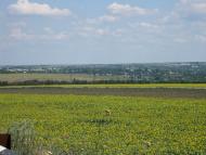 Лозуватка з panoramio.com