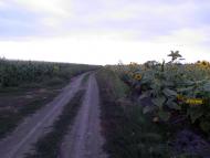 Меловая Балка - Последние фото