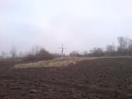 Бузникувате з panoramio.com