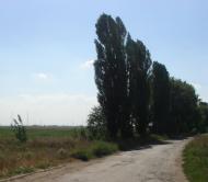 Луч з panoramio.com