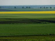 Стаївка з panoramio.com