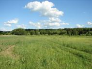 Рудка з panoramio.com