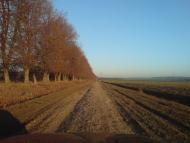 Нестерівці з panoramio.com