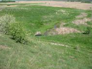 Аркадівка з panoramio.com