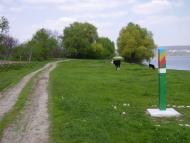 Оксанівка з panoramio.com