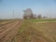 Добрятин з panoramio.com