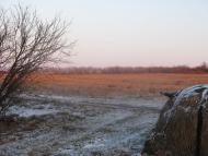 Бараниківка з panoramio.com