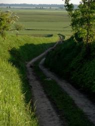 Стаївка з panoramio.com