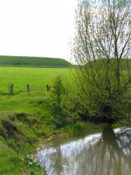 Озеро з panoramio.com