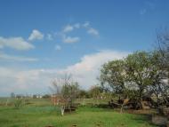 Кримське з panoramio.com