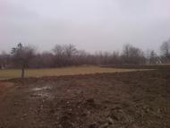 Бузникувате з panoramio.com