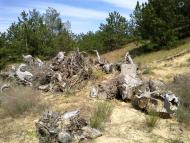 Сергіївка - Останні фото