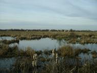 Березань з panoramio.com