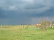 Кримське з panoramio.com