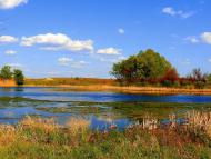 Шимшинівка з panoramio.com