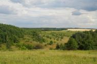 Велика Чернеччина з panoramio.com