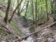 Перевалівка з panoramio.com