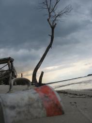 Сокирна з panoramio.com