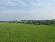 Кинашове з panoramio.com