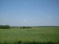 Харпачка з panoramio.com