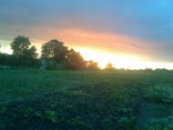 Веселий Кут з panoramio.com