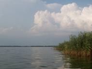 Кардашинка з panoramio.com